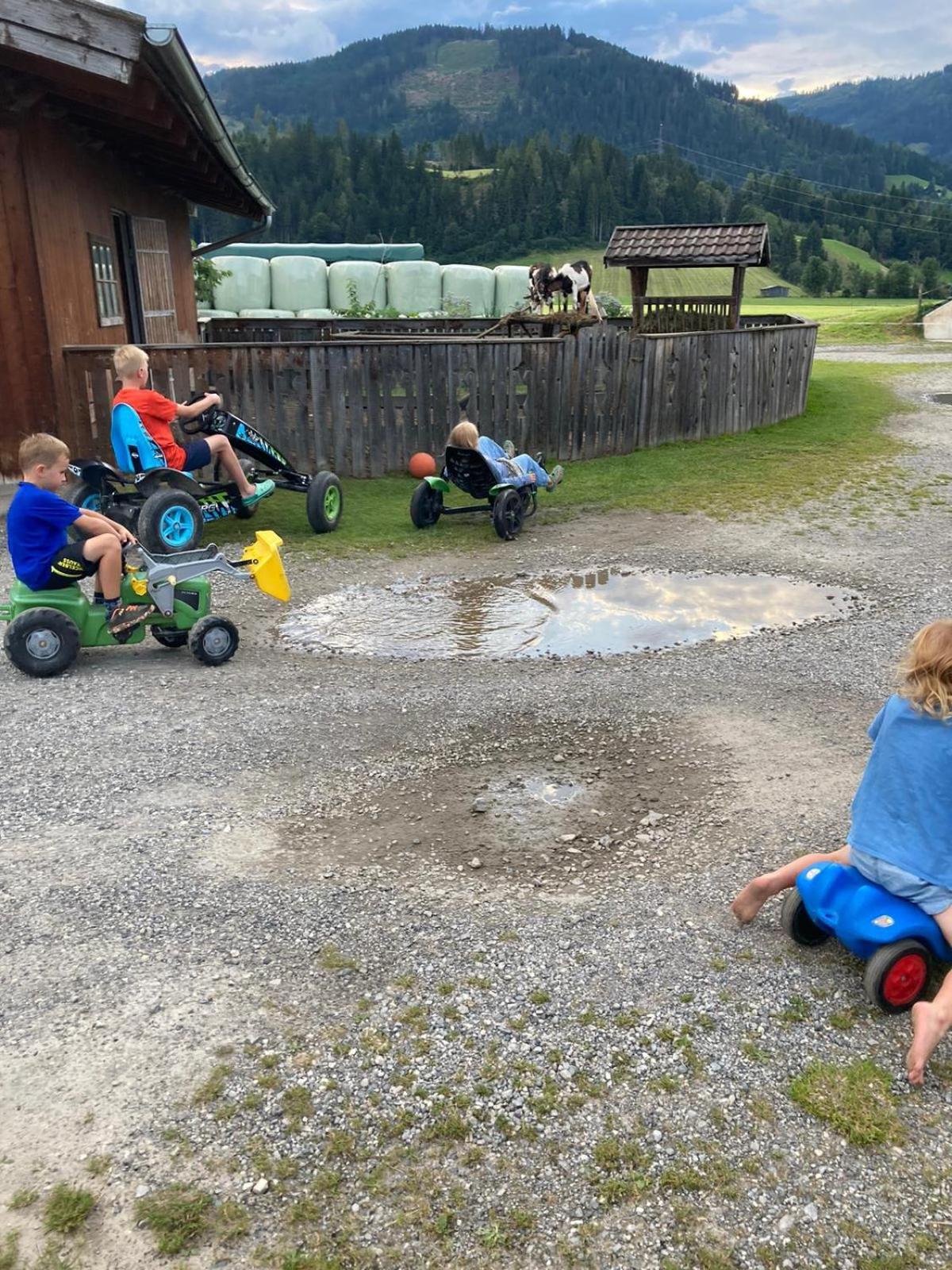 Feriengut Fingerhof Lejlighed Flachau Eksteriør billede