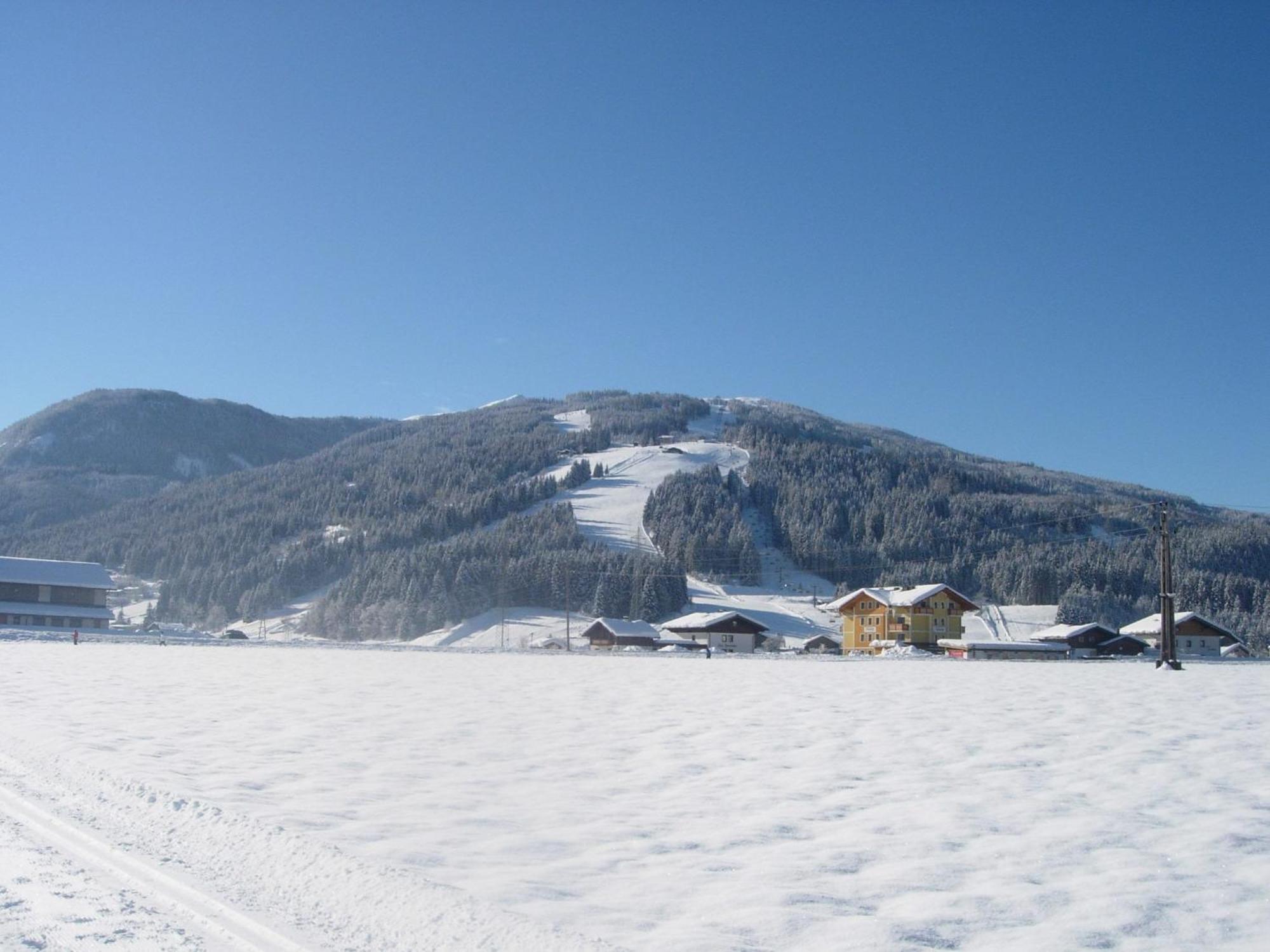 Feriengut Fingerhof Lejlighed Flachau Eksteriør billede